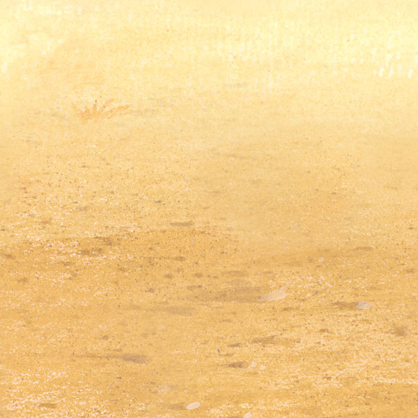 Outback Lower Scene Setter