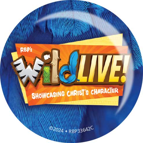 Theme Buttons <br>VBS 2024
