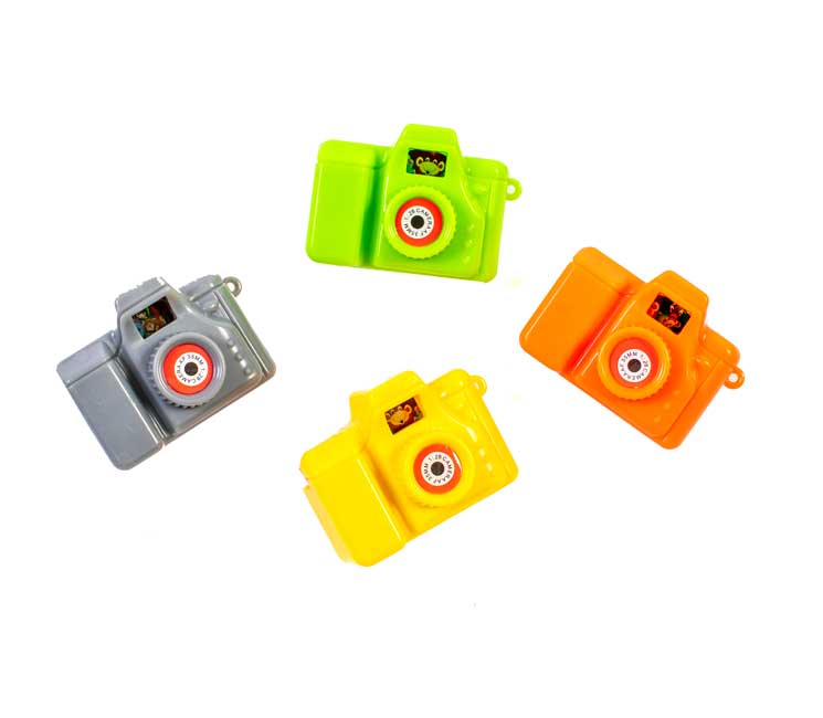 Critter Scene Cameras <br>VBS 2024
